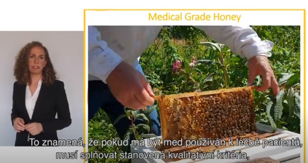Mikrobioložka o antimikrobiální účinnosti lékařského medu – přednáška EWMA 2020